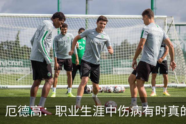 厄德高：职业生涯中伤病有时真的没办法